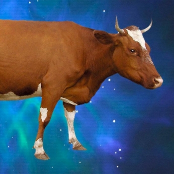 Фото - praktikatheatre.ru